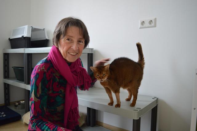 Jutta Kernstock mit zwei ihrer Schützlinge, die im Haus der Katzenfreunde ein Heim auf Zeit gefunden haben.