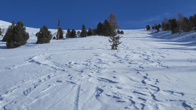 Mit den Schneeschuhen einfach gerade hinauf...