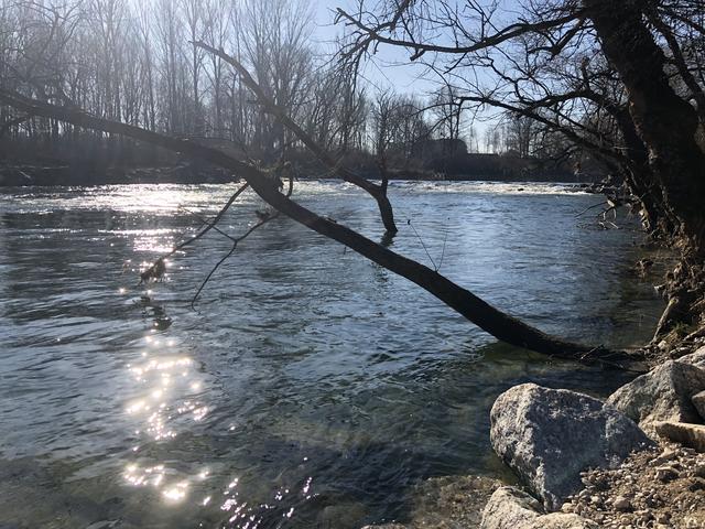 Die Ybbs bei Greimpersdorf in Amstetten. | Foto: Leitsberger