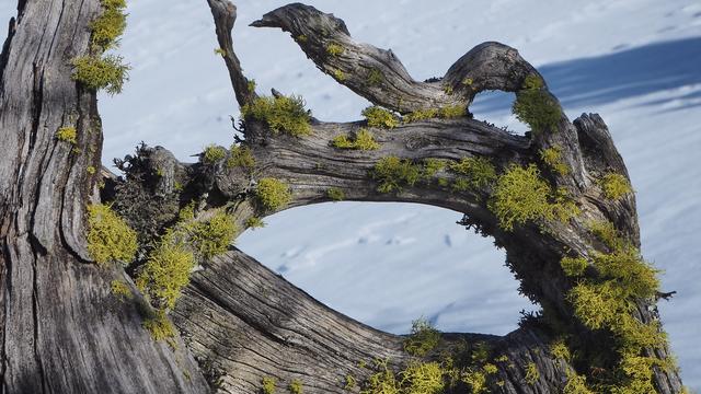 "Sehen und gesehen werden"
