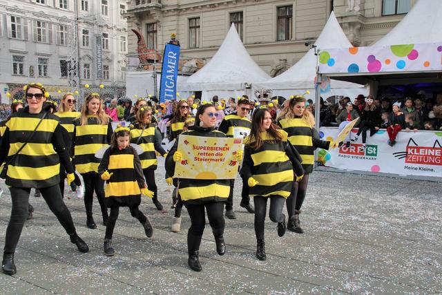 Superbienen von der Kleinen Zeitung