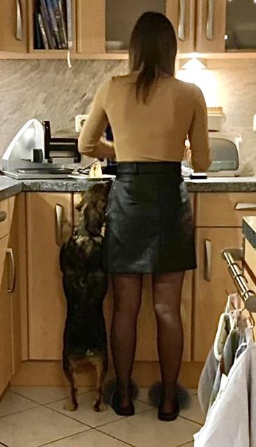 "Krieg ich da was?" - David stellt sich auf die "Pfotenspitzen"  | Foto: Peter A. Stahl