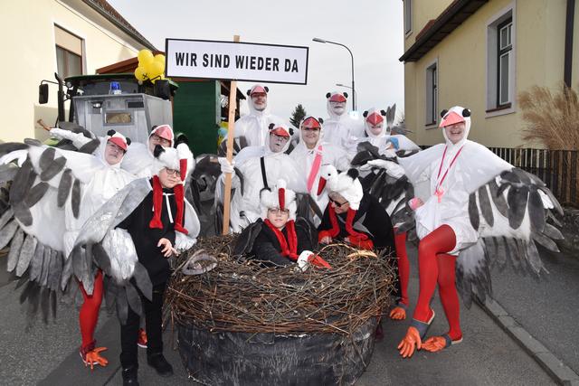 Burgenländische "Wappentiere": Ein Schwarm von Störchen flatterte beim Faschungsumzug durch die Stadt.