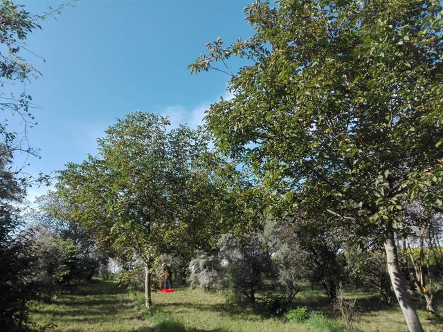 Der Waldgarten Wetzmannsthal der Familie Engelhart.