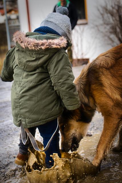 Hundemädchen Liva erkundet eine Schlammpfütze | Foto: Armin Mavc