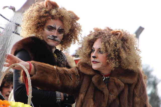 "Katzen" regierten am Faschingsumzug in Weiz.