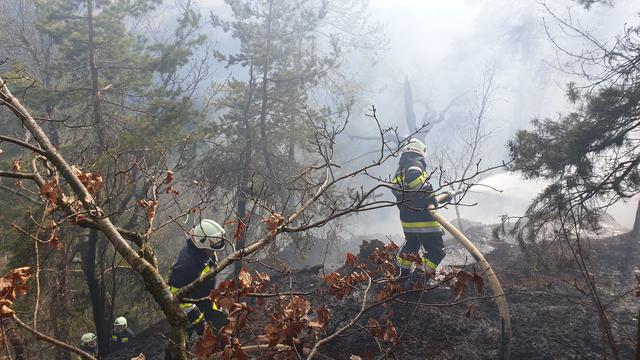 Waldbrand in Wielfresen: Zwei Stunden waren die Einsatzkräfte im Einsatz! | Foto: FF Wernersdorf