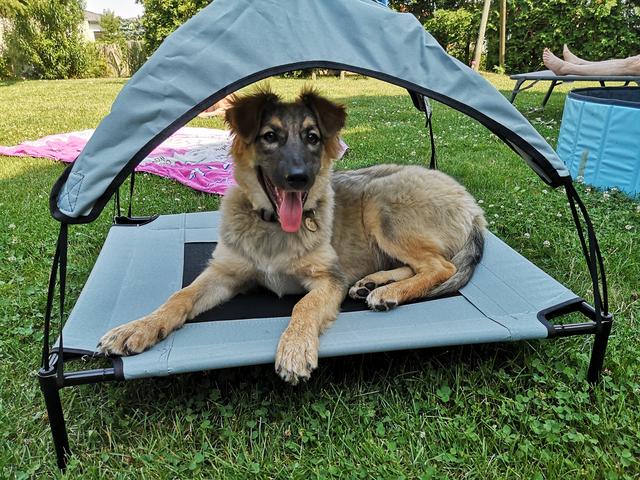 "Die Sonne kann kommen," denkt sich Enya in ihrem Bettchen | Foto: Ulrike Strobl
