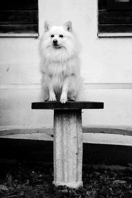 "Wie eine Statue"  | Foto: Melanie Aigner