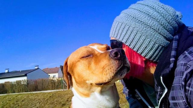 Hundebube "Cash" ganz verliebt mit seinem Frauchen | Foto: Sandra Otto