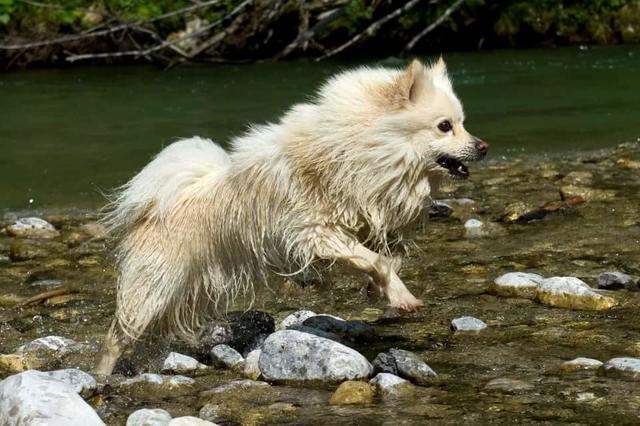 Wasser ist das liebste Element vom kleinen Akito | Foto: Melanie Aigner