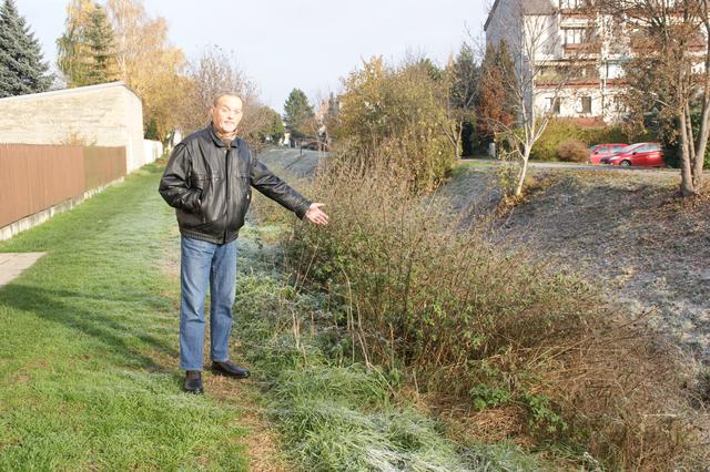 Hier erkennt man, wie stark bewuchert das Bachbett ist.      | Foto: Foto: Goll