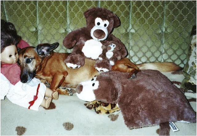 "Sonja in Love" | Foto: Oliver Noah Kolar