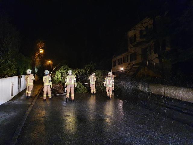 Die ganze Nacht rückten die Feuerwehren im Bezirk Ried aus.
