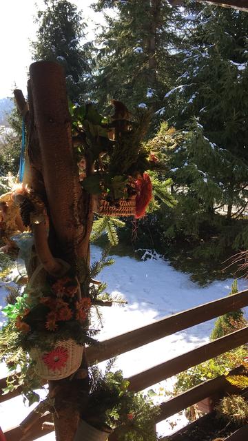 Eine Symphonie des Frühlings - Blick in meinen Garten-Eden - mit Blick, in weiter Ferne, auf einen der Dobratschausläufer