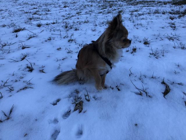 Https Www Gesetze Bayern De Content Pdf Y 300 Z Beckrs B 2017 N 109999 All False