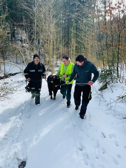 Bekanntschaften lockenhaus. Neumarkt am wallersee dating seiten. Gtzens partnersuche. Kleinanzeigen single treff aus unterweissenbach bekanntschaften Single treff aus unterweissenbach - Nordburgenland treffen
