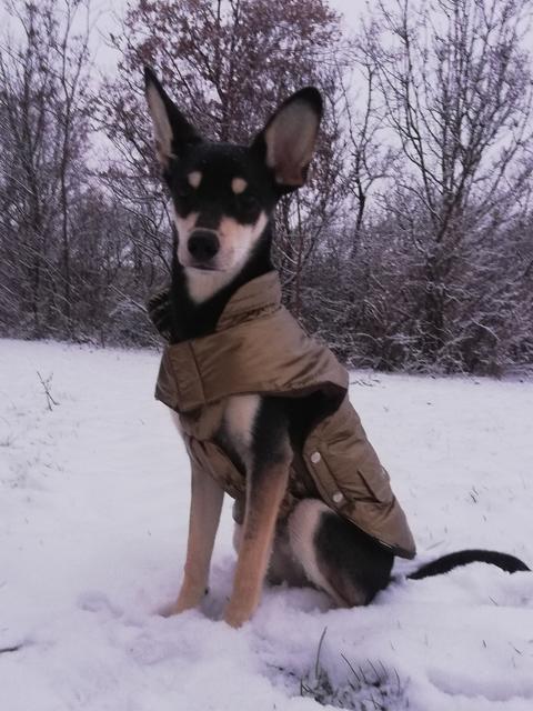 Für jedes Wetter gerüstet! | Foto: Michaela Petz