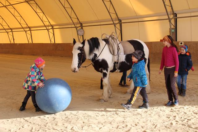 Horseball stand auch auf dem Programm.