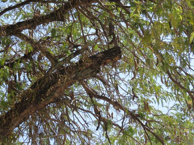 Foto vom 07.02.2020 Thailand 