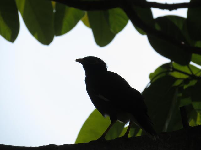 Foto vom 07.02.2020 Thailand