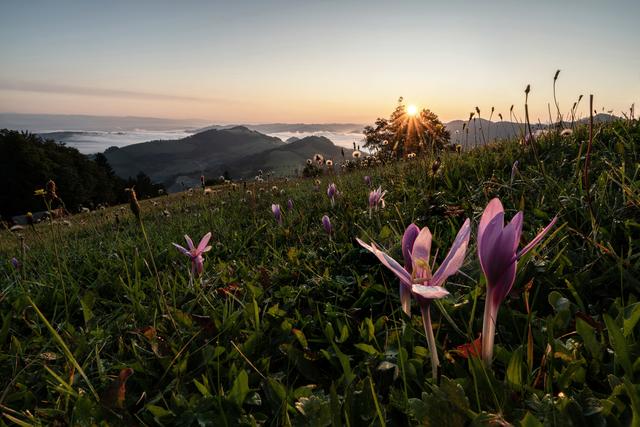 Das Gewinnerfoto beeindruckt vor allem durch Licht und Perspektive. Aufgenommen wurde es im Waidhofner Naturpark.