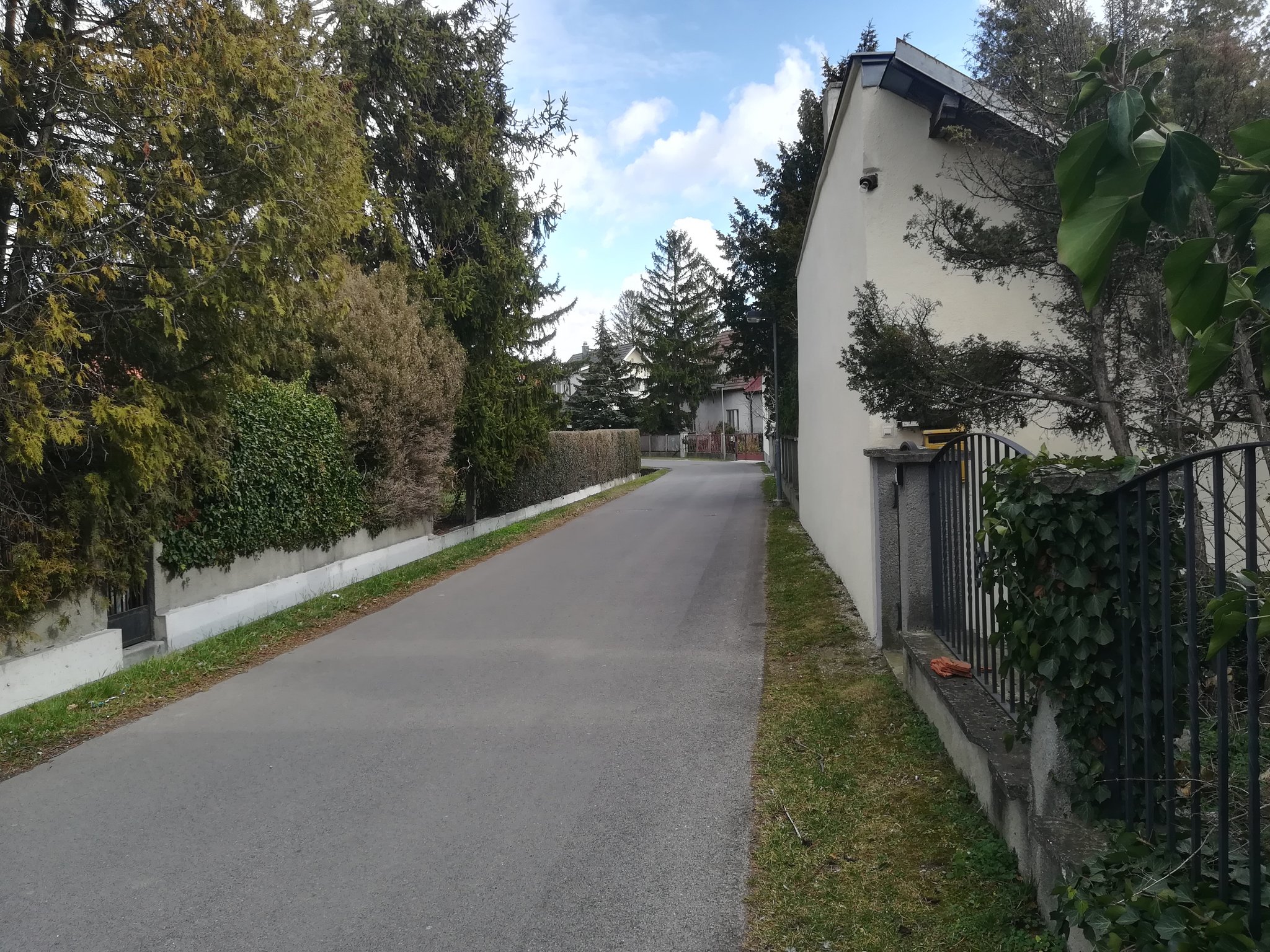 Sexanzeigen in Kapfenberg. Sie sucht ihn brandenburg kfi. Liebenfels neue leute kennenlernen. Pottenstein frau weigelsdorf er sucht sie markt sucht mann frs Weigelsdorf er sucht sie markt - Gschwandt kennenlernen