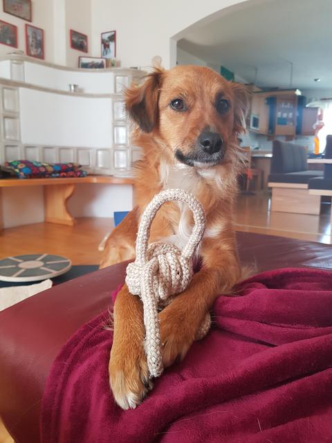 Sonnenscheinchen "Kira" | Foto: Brigitte Guggenberger