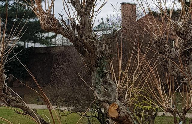 Siehst du das Dach des Belvedere?