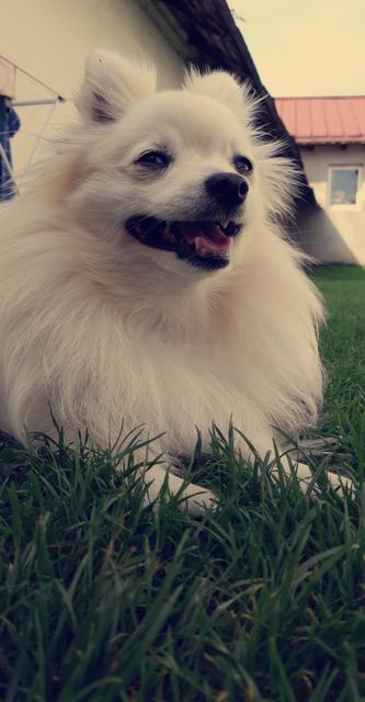 "Großaufnahme" | Foto: Melissa Bauer