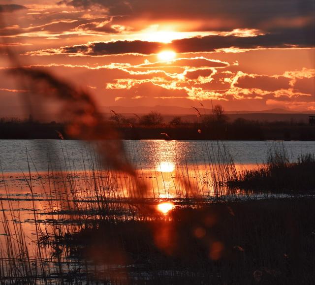 Sonnenuntergang, Darscho-Apetlon,Burgenland. Hoffentlich kommt rasch der Feierabend.