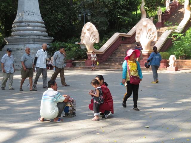 Aufnahme 11.2.2020: Hier dürfen die  freigekaufte Vögel wieder wegfliegen.
