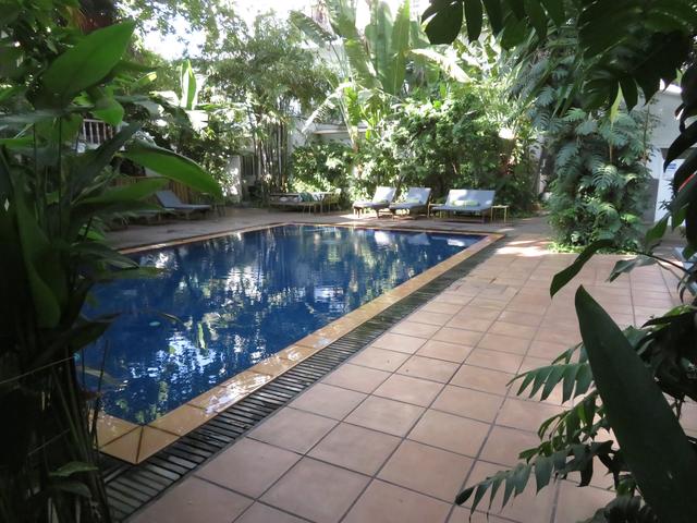 Aufnahme 11.2.2020: Idylle in unserem Hotel mitten in der Stadt