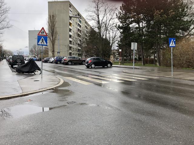 Die Autokaderstraße ist eine 30er-Zone. Der bestehende Zebrastreifen ist trotzdem kein Garant für Sicherheit.  | Foto: Sellner