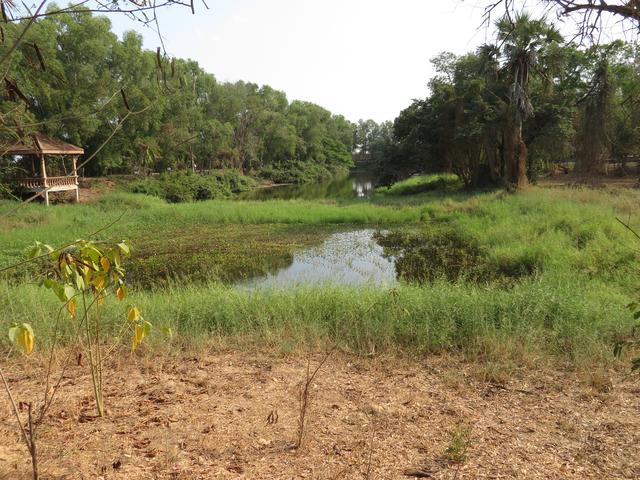 Aufnahme 11.2.2020 ein Teil der "killing fields" - hier war es damals gar nicht friedlich...