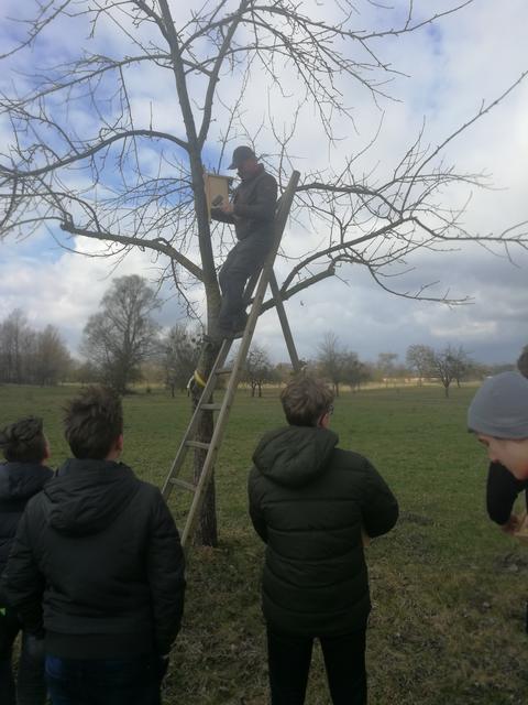 Foto: PTS Ottensheim