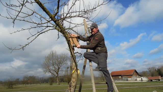 Foto: PTS Ottensheim