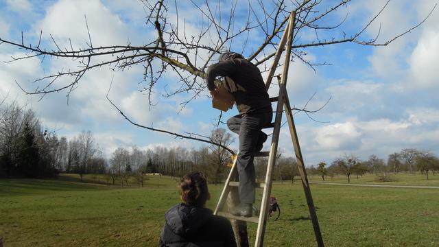 Foto: PTS Ottensheim