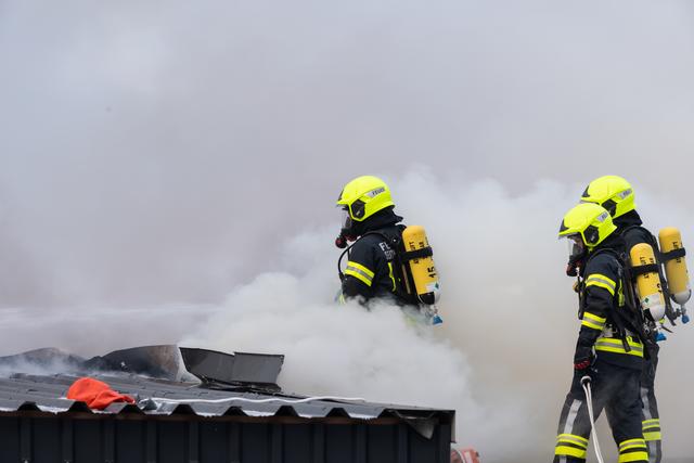 Foto: FOTOKERSCHI.AT / KERSCHBAUMMAYR