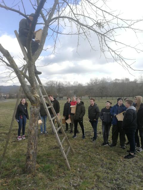 Foto: PTS Ottensheim