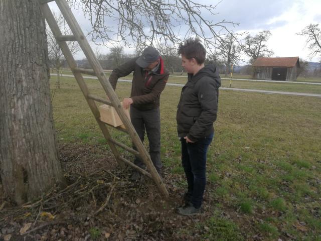 Foto: PTS Ottensheim