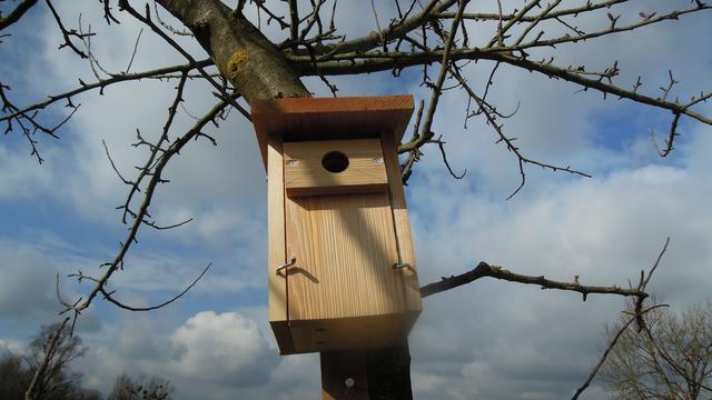 Foto: PTS Ottensheim