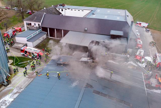 Foto: FOTOKERSCHI.AT / KERSCHBAUMMAYR