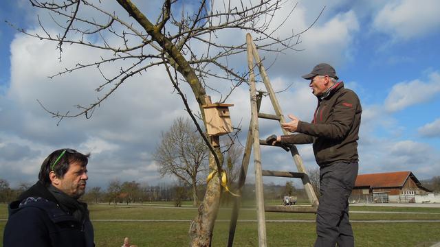Foto: PTS Ottensheim