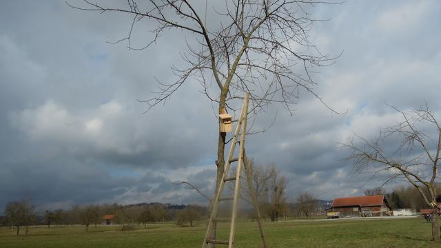 Foto: PTS Ottensheim