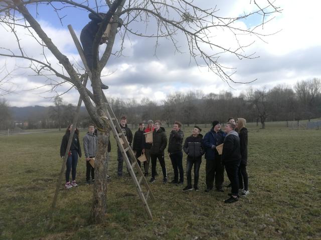 Foto: PTS Ottensheim