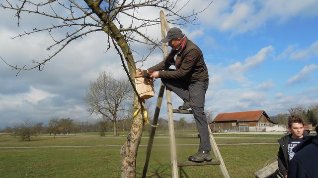 Foto: PTS Ottensheim