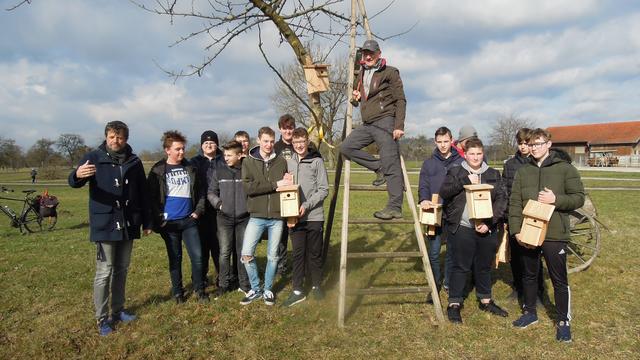 Lehrer Christian Augustyn (l.), Obmann Leo Mahringer (auf Leiter) und die PTS-Schüler aus Ottensheim.