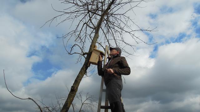 Foto: PTS Ottensheim