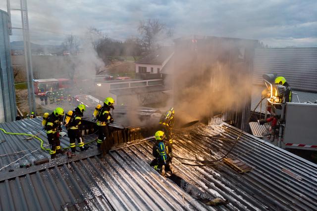 Foto: FOTOKERSCHI.AT / KERSCHBAUMMAYR